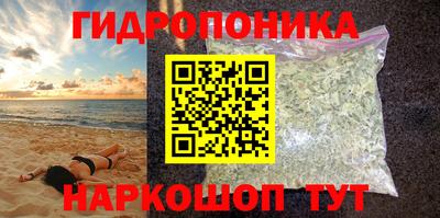 PSILOCYBIN Гусиноозёрск