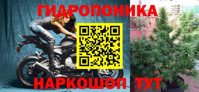 сатива Гусев
